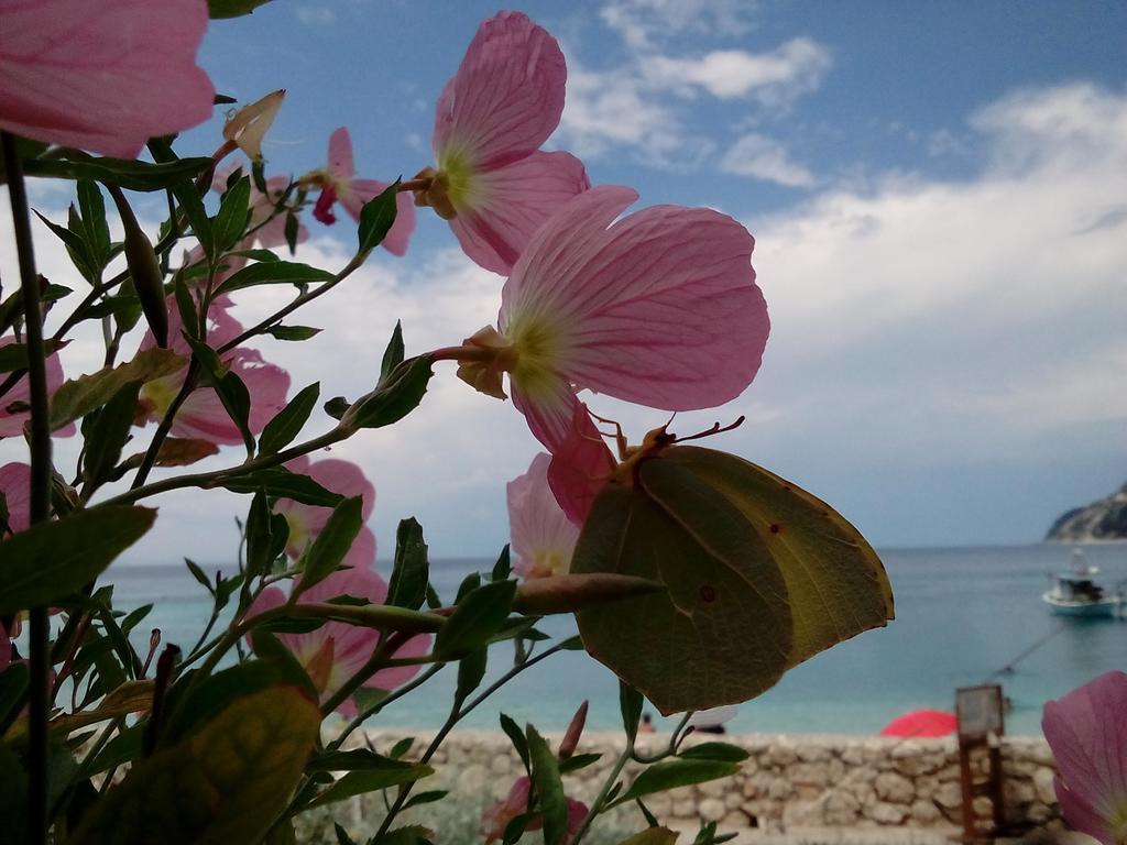 Fetsis Apartments Ayios Nikitas Bagian luar foto